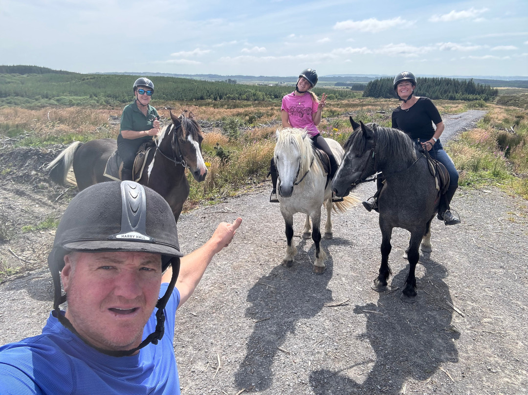 Mountain View Horse Riding Centre-Lisdoonvarna必去景点