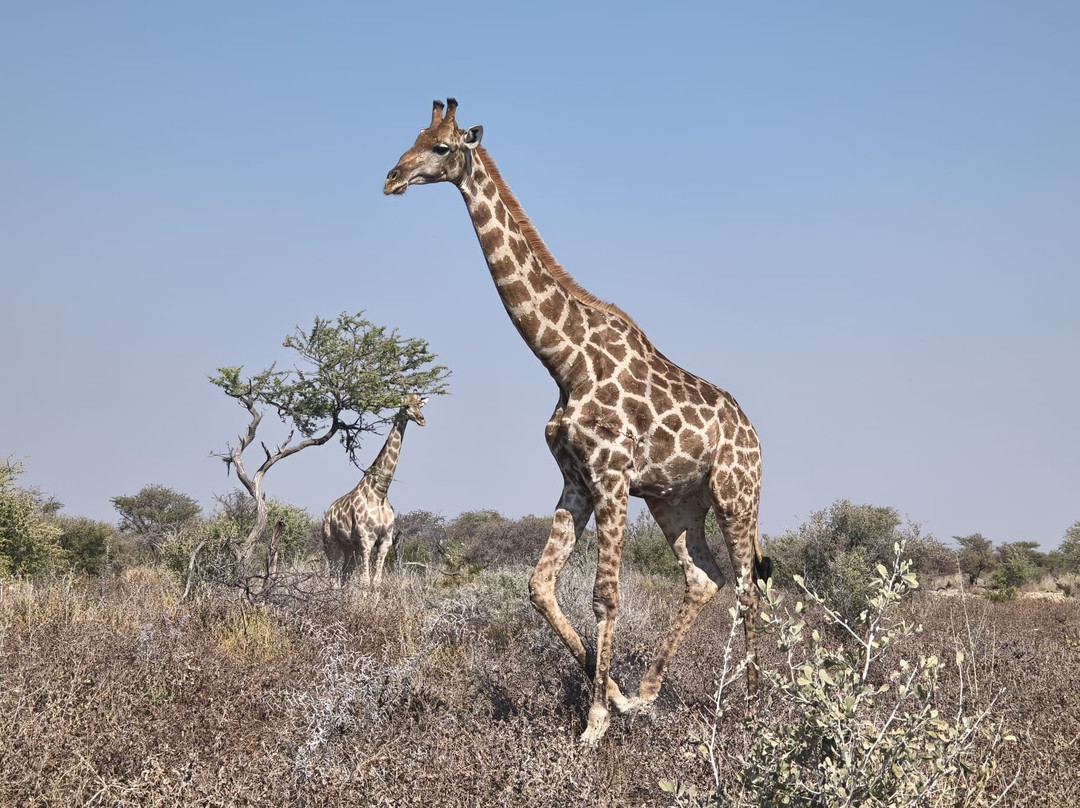 Nature Travel Namibia-温德和克必去景点