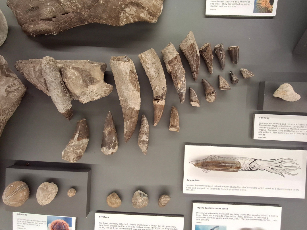 West Stow Anglo-Saxon Village and Country Park-圣埃德蒙兹伯里必去景点