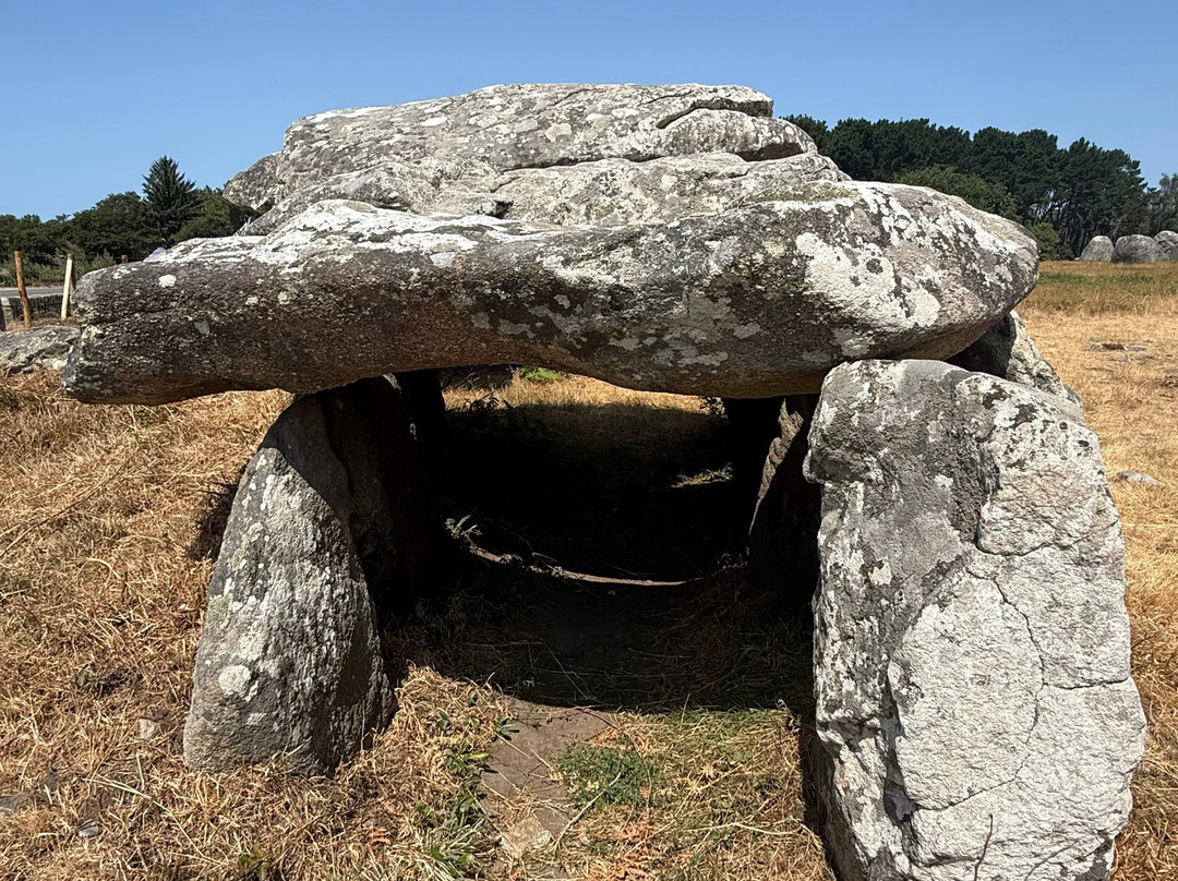 Megaliths of Carnac-卡纳克必去景点
