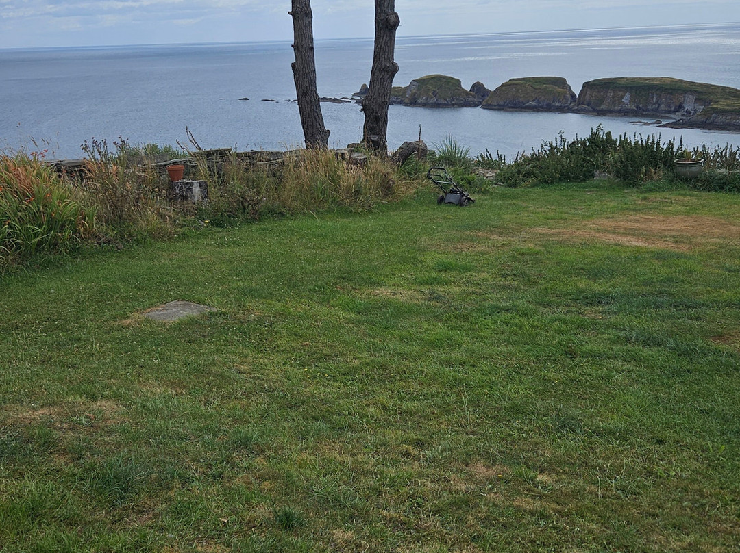 Seaside Alpacas West Cork-Union Hall必去景点