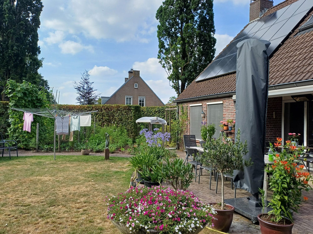 B&B Tussen Broek en Duin主图