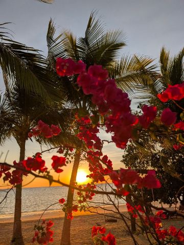 VOI Amarina Resort-旅行者