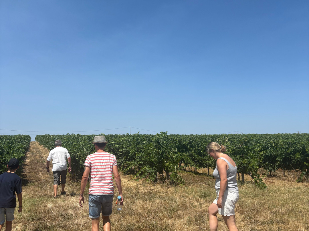 Domaine de La Higuere , Vignobles Esquiro-Mirepoix必去景点