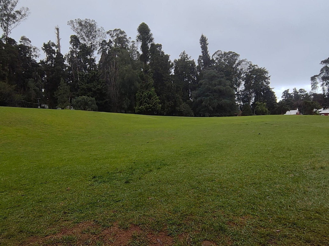 Government Botanical Garden-The Nilgiris District必去景点