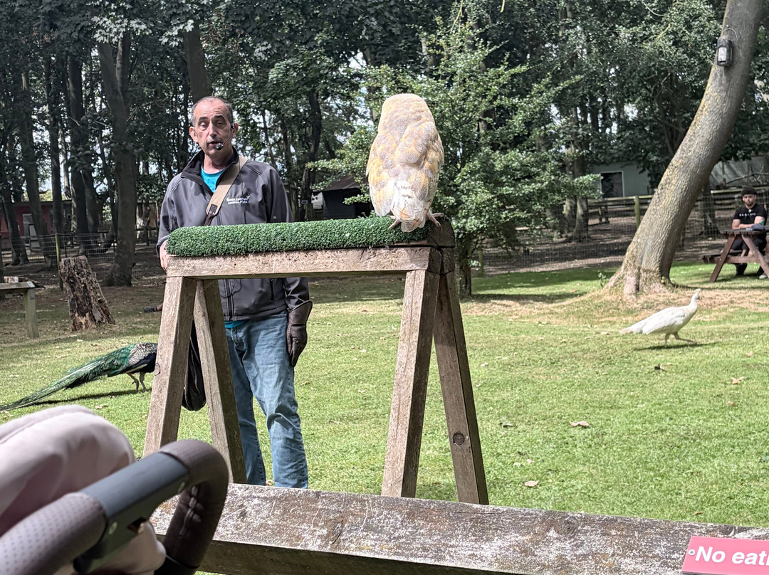 Bridlington Animal Park-布里德灵顿必去景点