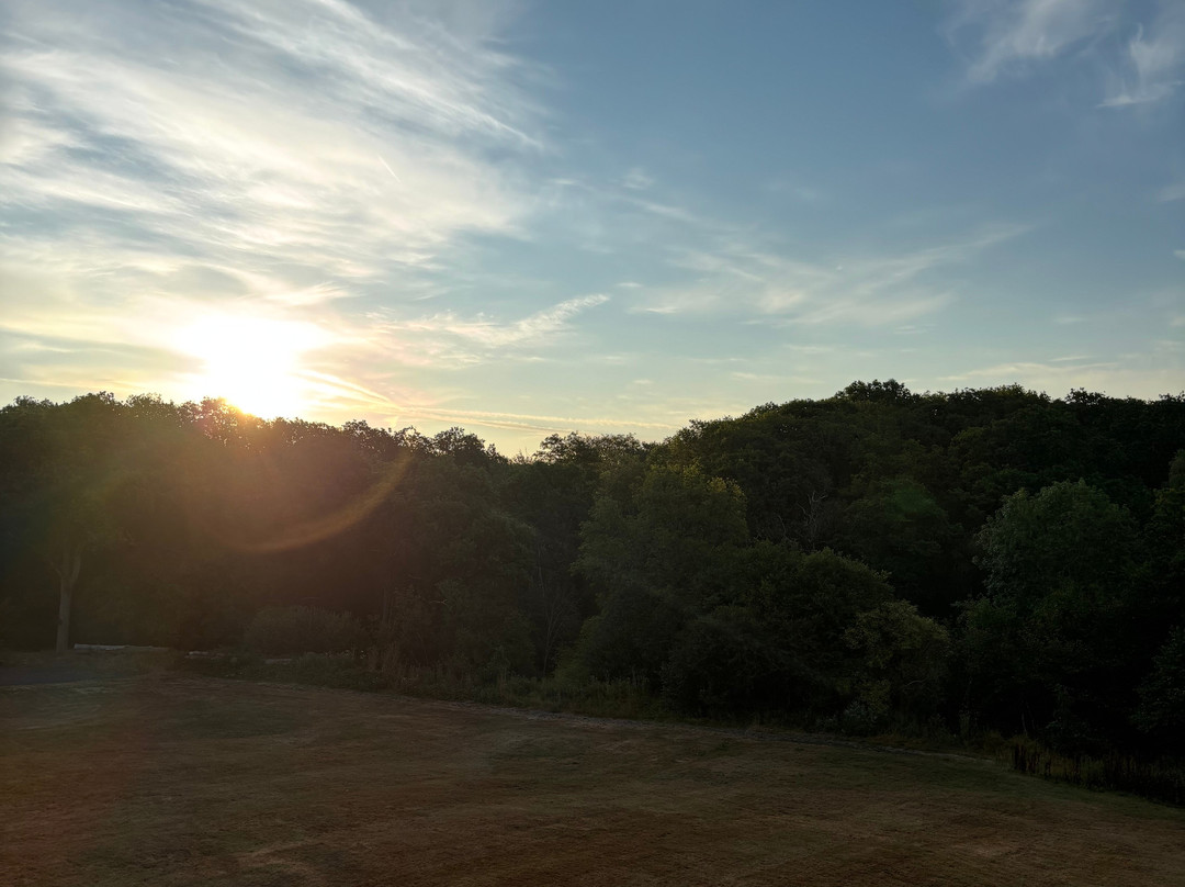 Virgin Balloon Flights - Guildford-吉尔福德必去景点