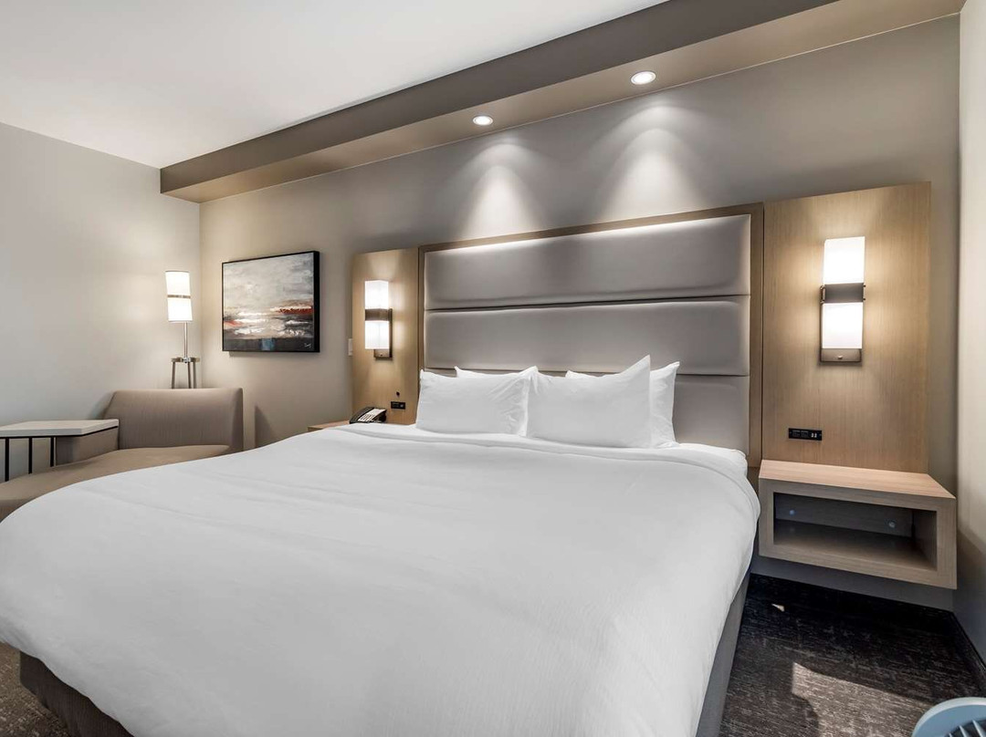 Prince Albert酒店住宿-Best Western Premier Prince Albert