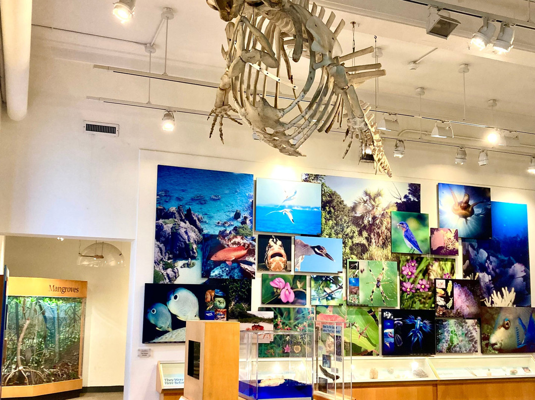 Bermuda Aquarium, Museum & Zoo-Hamilton Parish必去景点