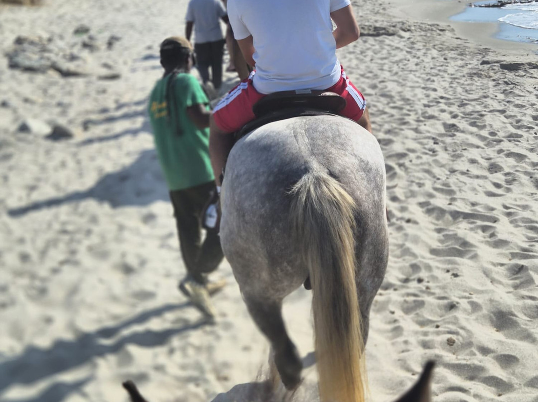 Kardamena Horse Riding Center-卡达米那必去景点