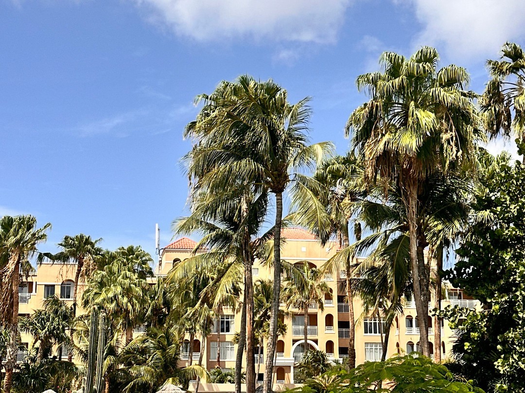 Divi Beach-奥腊涅斯塔德必去景点