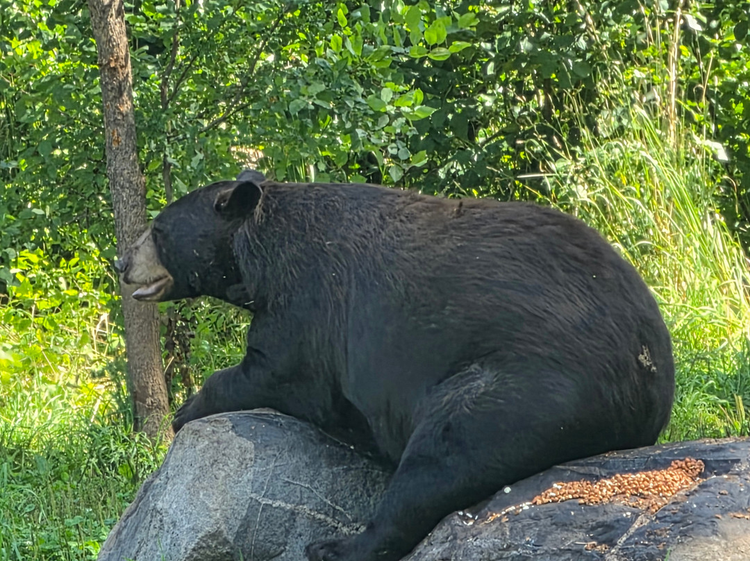 Vince Shute Wildlife Sanctuary-Orr必去景点