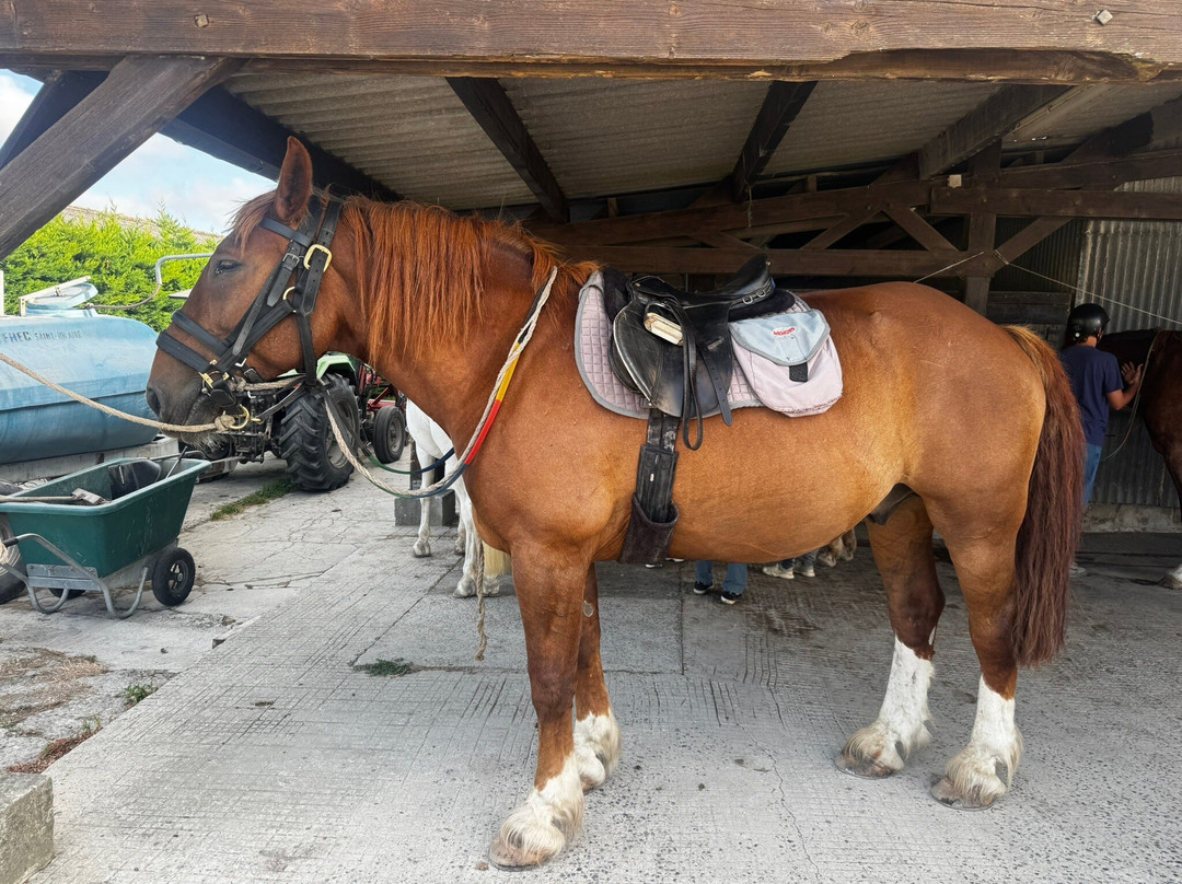 Centre equestre La Taniere-蓬托尔松必去景点