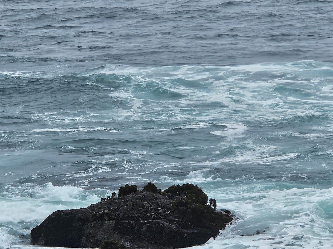 Sea Rock Inn主图