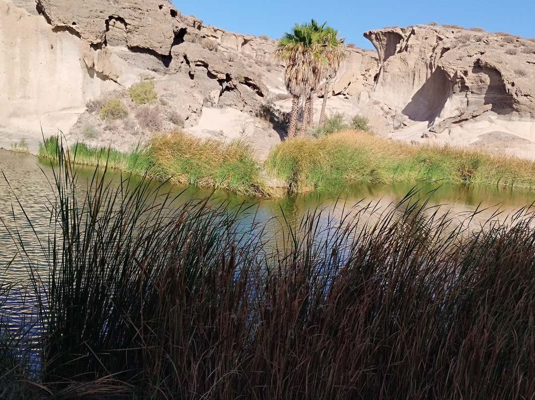 Reserva Ambiental de San Blas-圣米格尔德亚沃纳必去景点