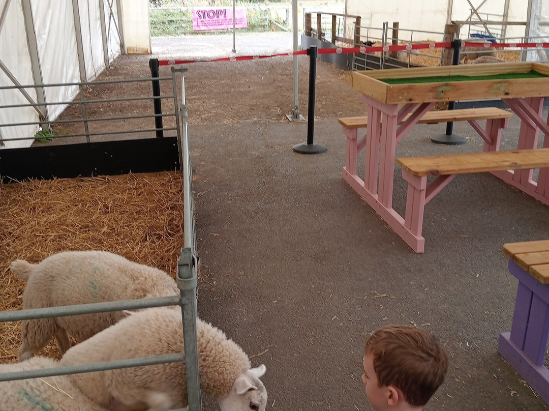 Piglets Adventure Farm-约克必去景点