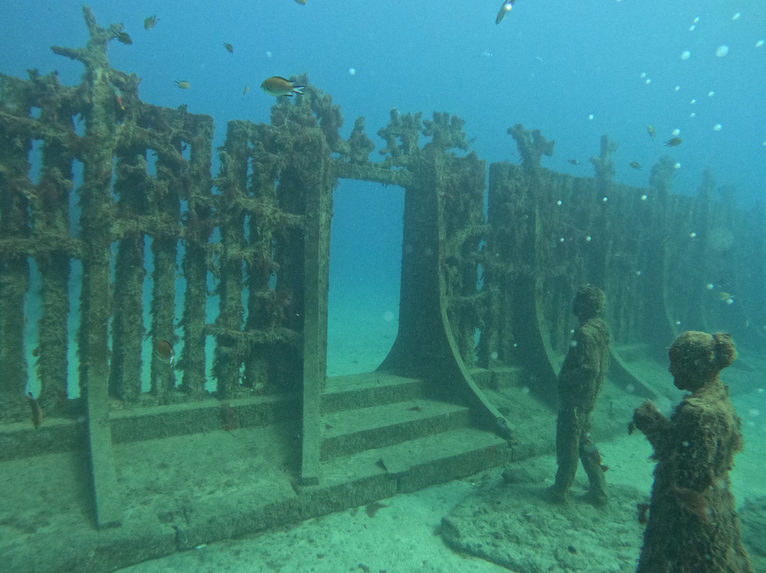 Pura Vida Diving-布兰卡滩必去景点