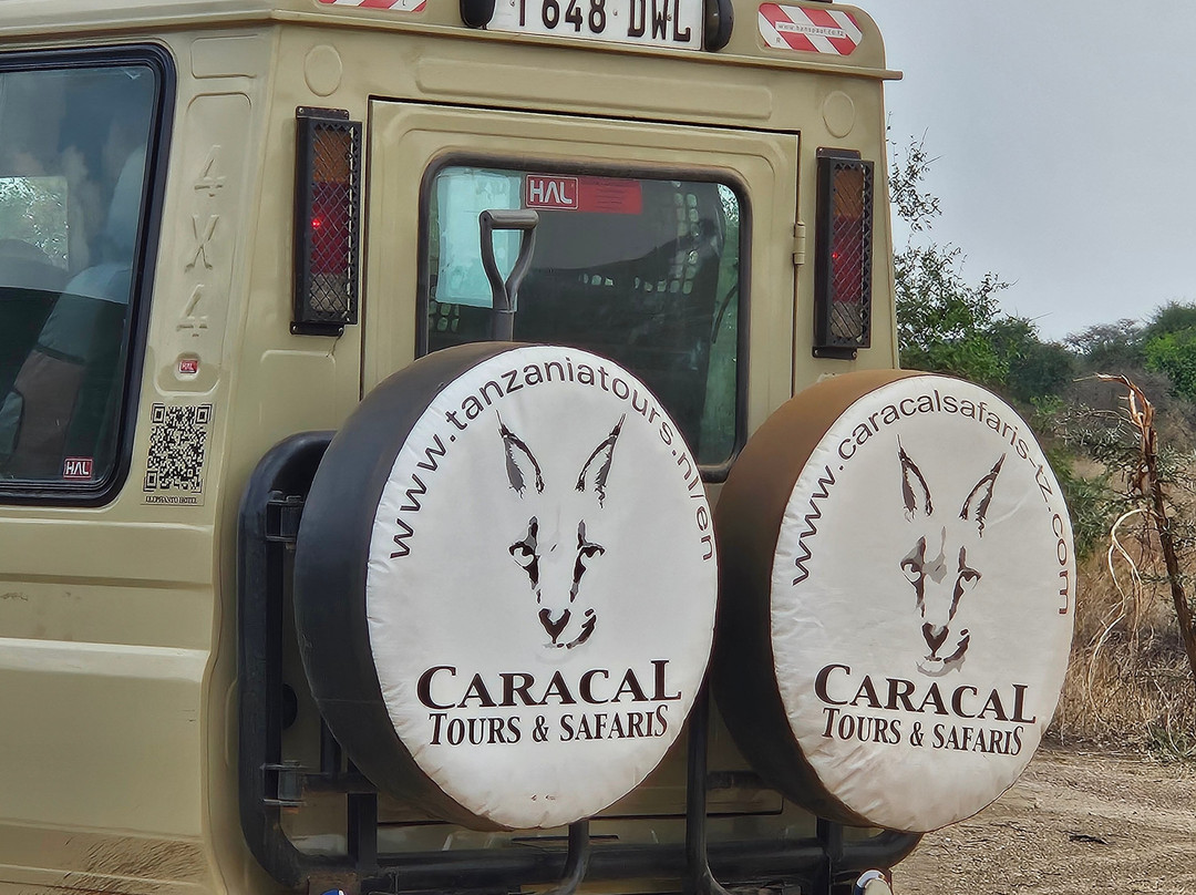 Caracal Tours & Safaris-莫西必去景点