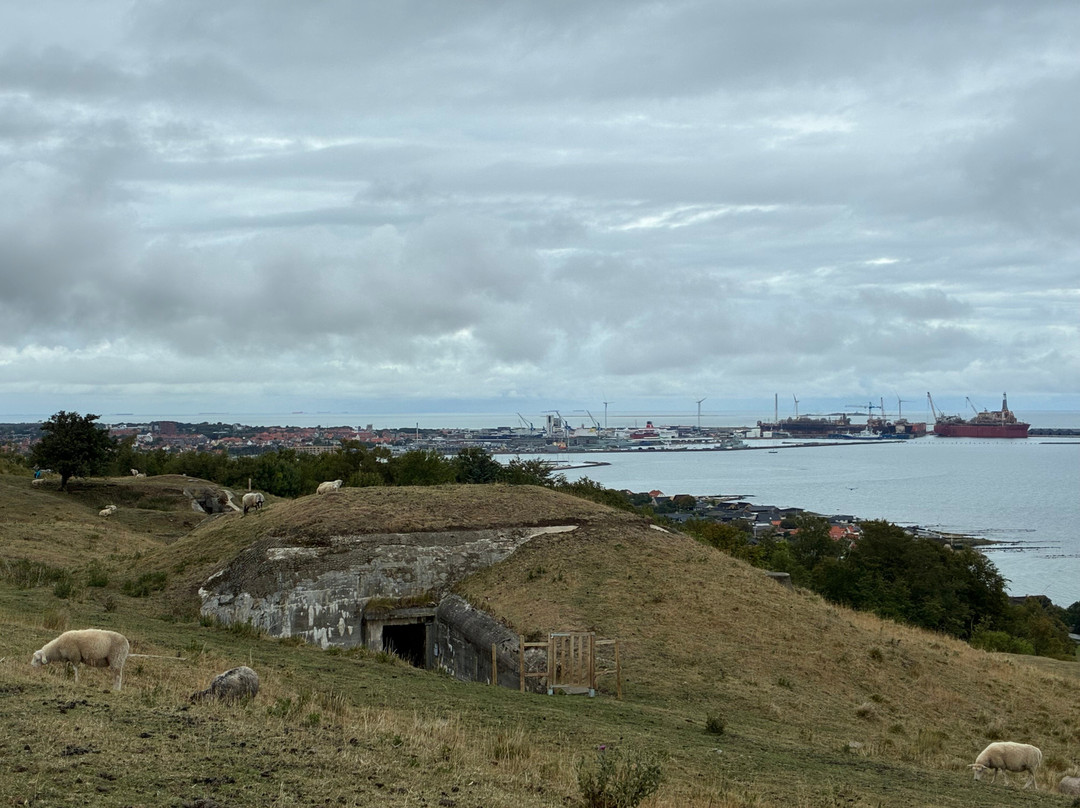The Coastal Museum Bangsbo Fort-腓特烈港必去景点