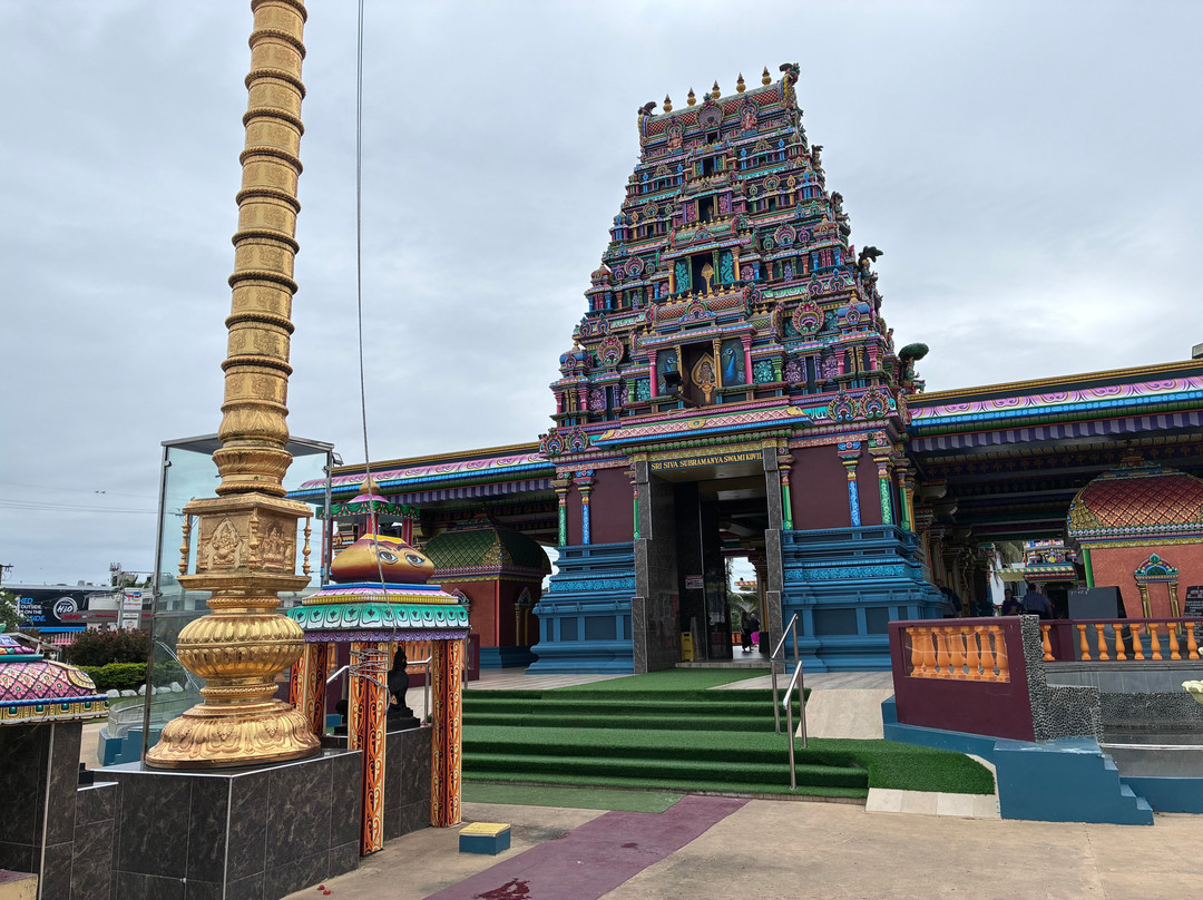Sri Siva Subramaniya Swami Temple-纳迪市必去景点