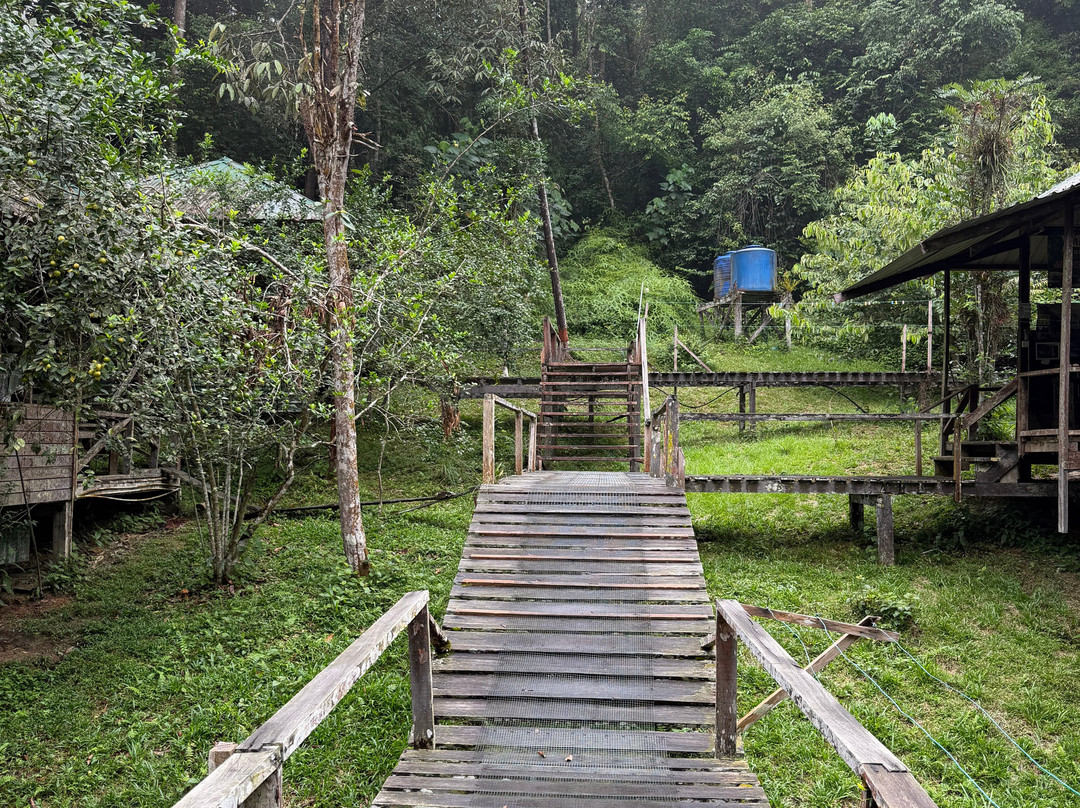 Maliau Basin Conservation Area-斗湖必去景点
