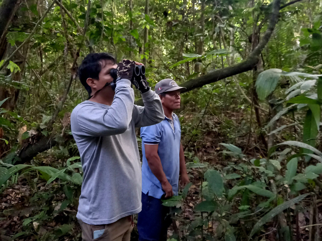 Lupuna Jungle Tours主图