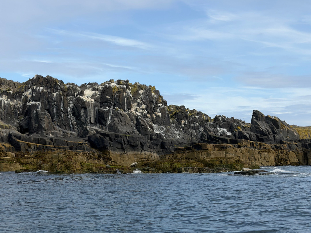 Isle Of May Boat Trips-Anstruther必去景点