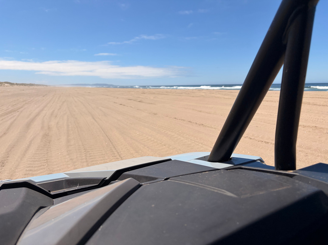 Spinreel Dune Buggy and ATV Rental-Lakeside必去景点