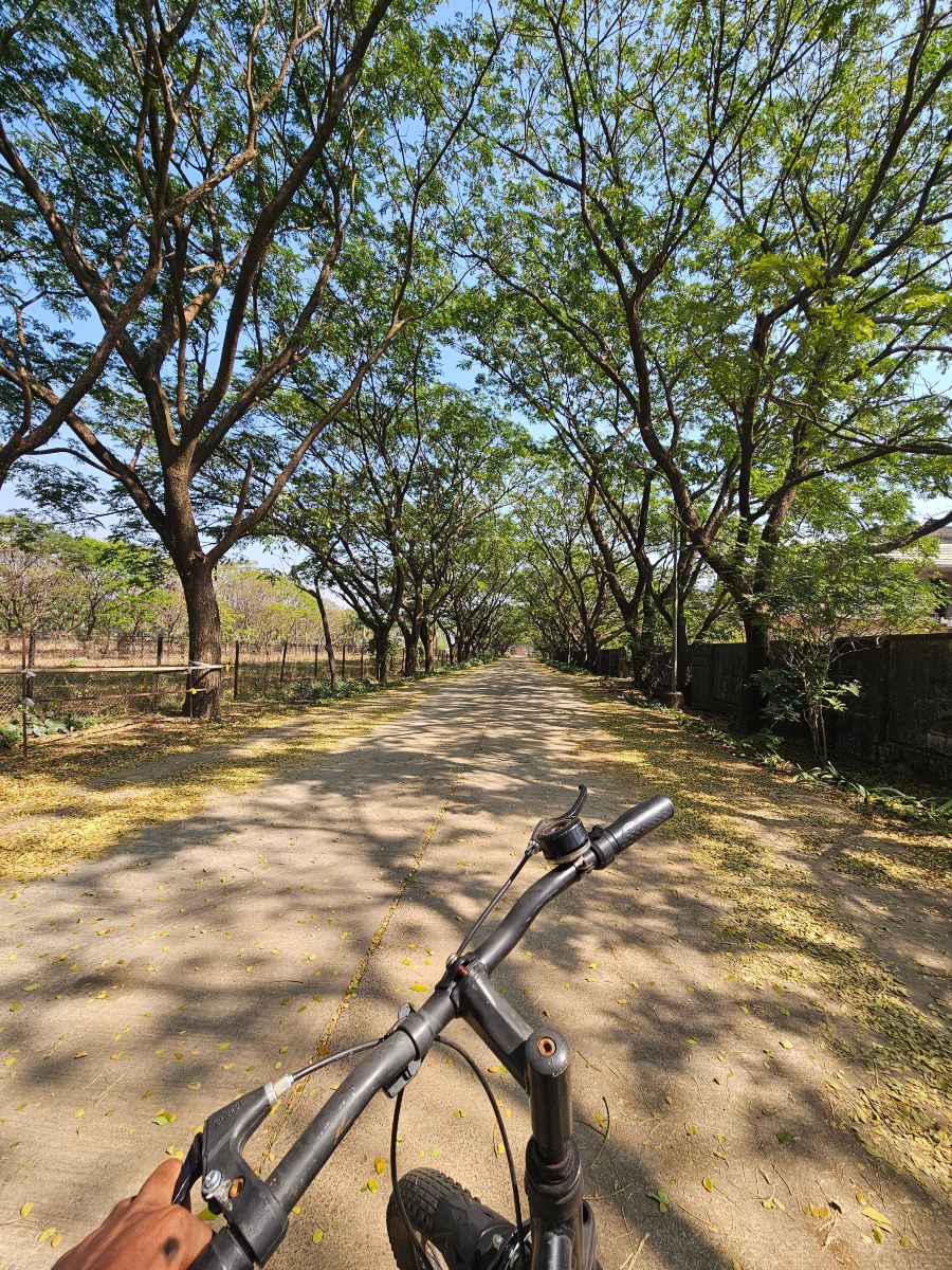 斯特林失窃的天堂罗纳瓦拉-旅行者
