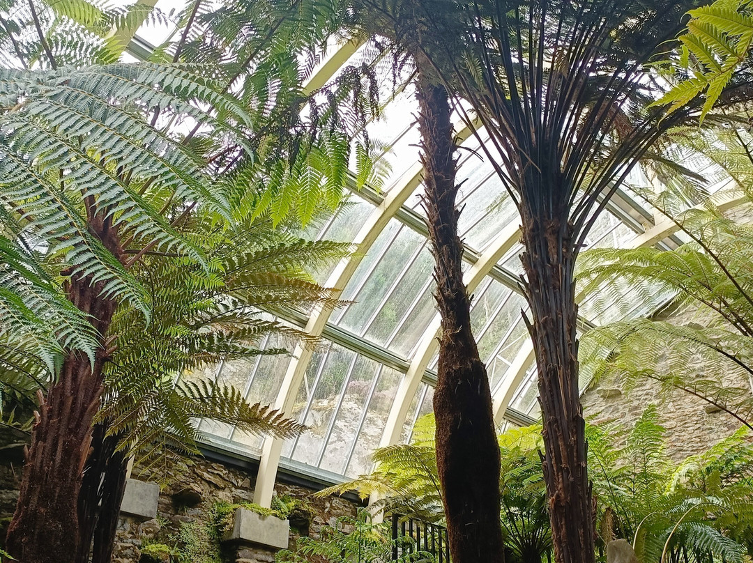 Benmore Botanic Garden-Benmore必去景点