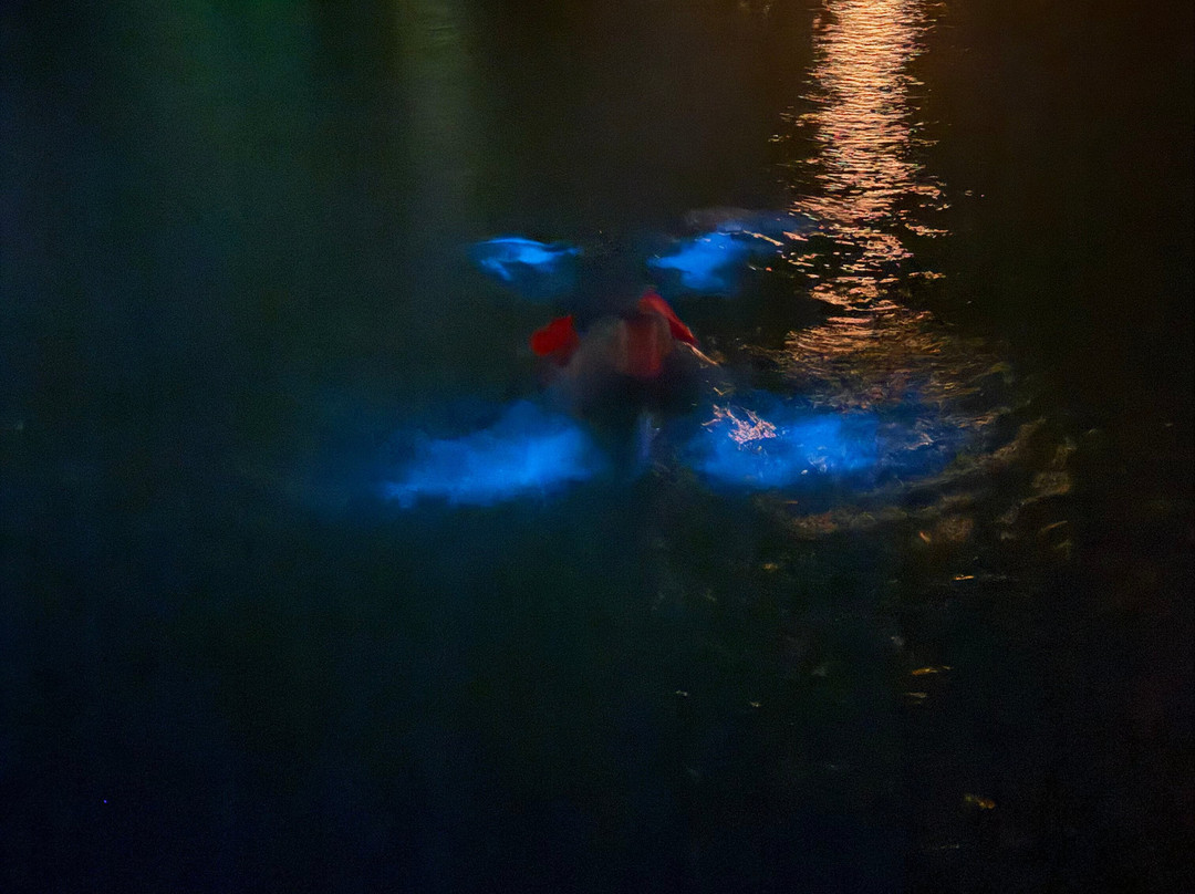 White Sand Water Sports-East End必去景点