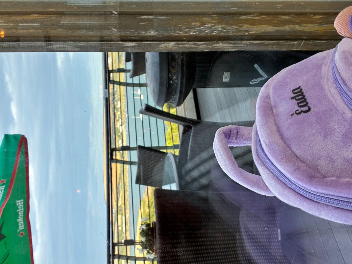 金赛尔SPA 酒店-旅行者