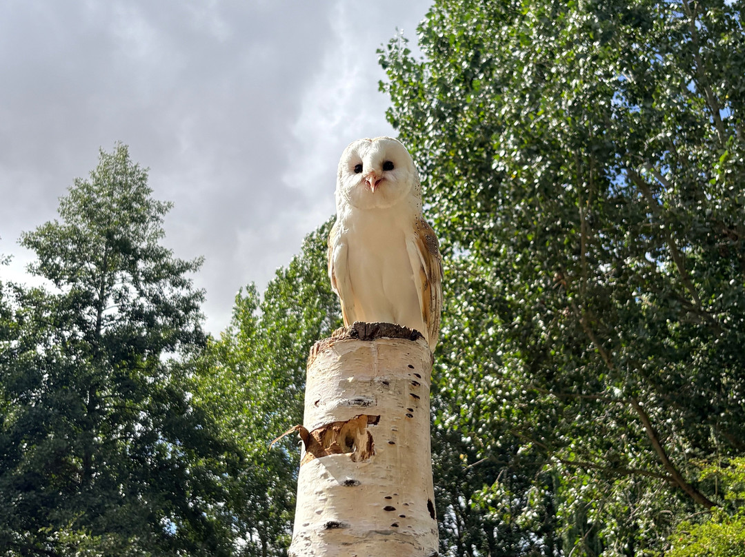 Tattershall Farm Park-Tattershall必去景点