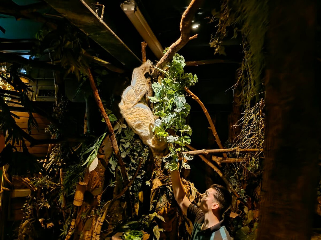 DierenPark Amersfoort-阿默斯福特必去景点