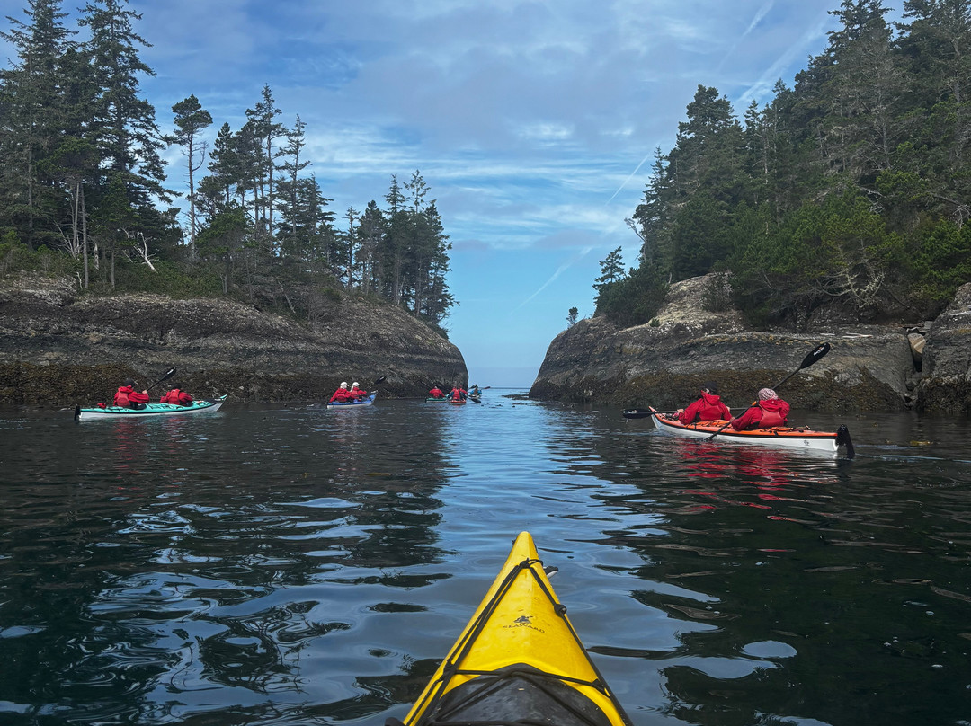 Kingfisher Wilderness Adventures-Port McNeill必去景点