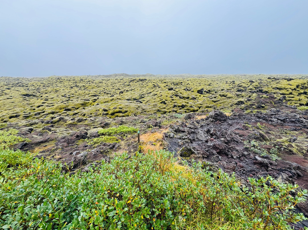 Katla UNESCO Global Geopark-霍尔斯沃德吕尔镇必去景点