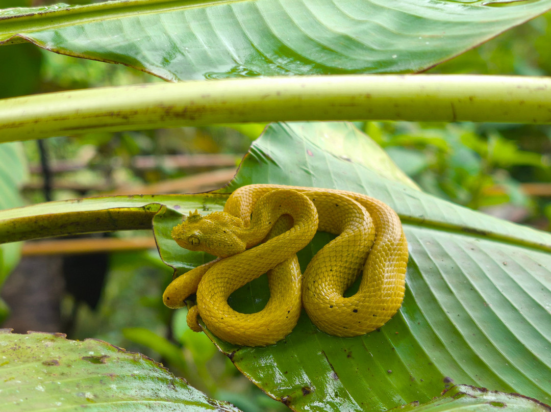 Deepgreen Eco tours-Naranjo必去景点