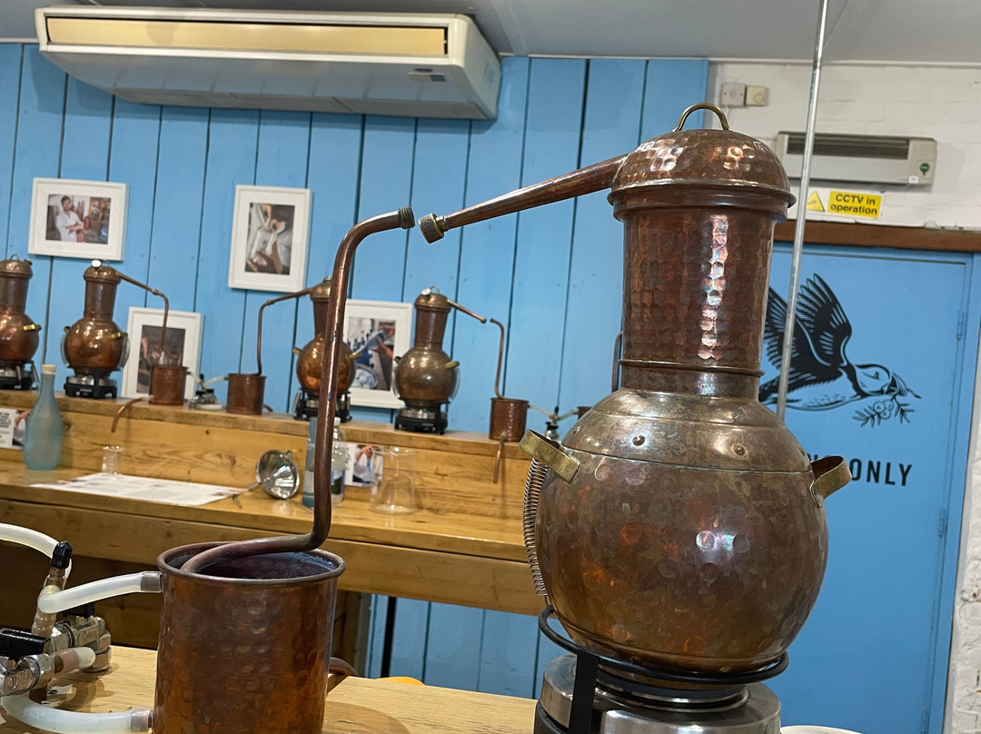 Tarquin's Cornish Gin-帕兹托必去景点