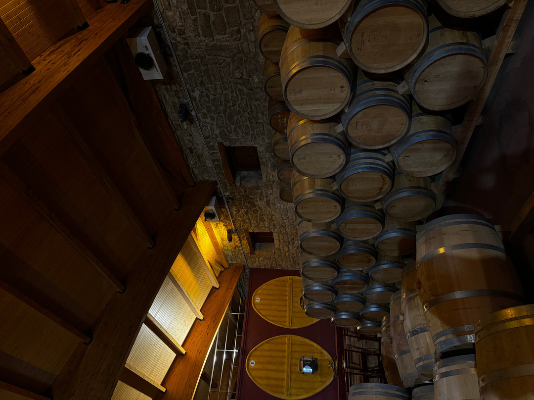 Bodegas y Vinedos Gomez Cruzado-哈罗必去景点