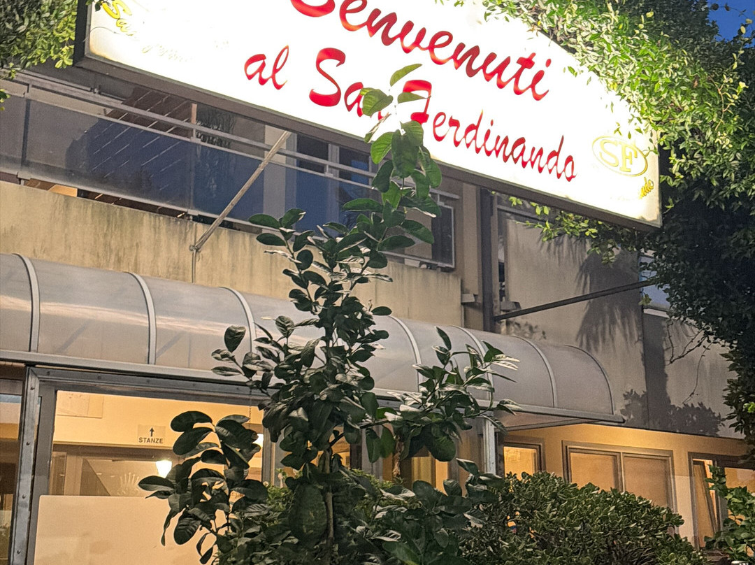 Hotel San Ferdinando主图