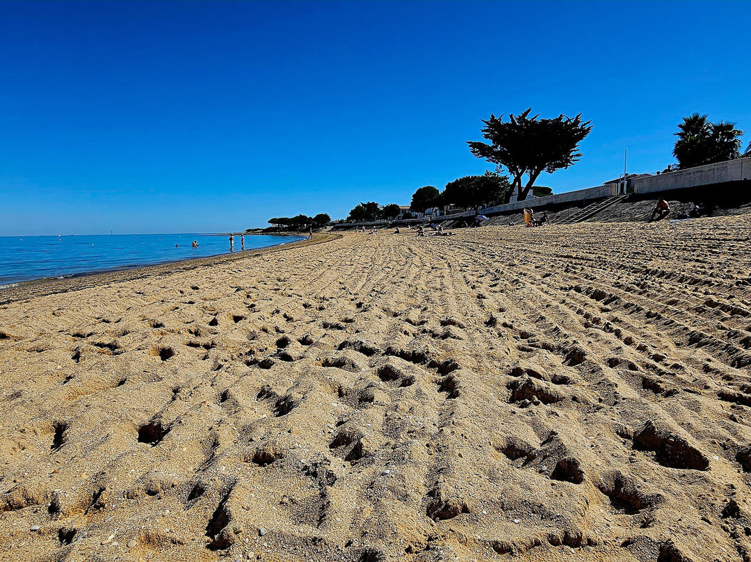 Plage de l'Arnerault-La Flotte必去景点