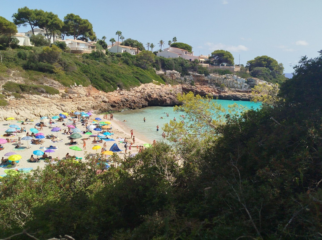 Cala Anguila-马纳科尔必去景点