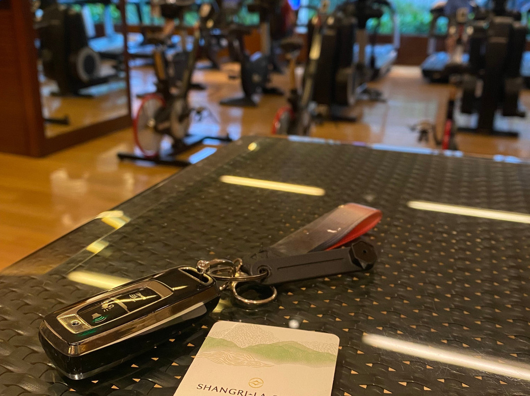 马尼拉艾莎香格里拉大酒店主图