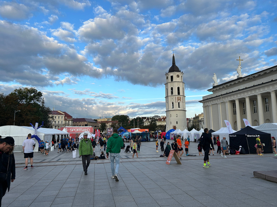 Vilnius Cathedral-维尔纽斯必去景点