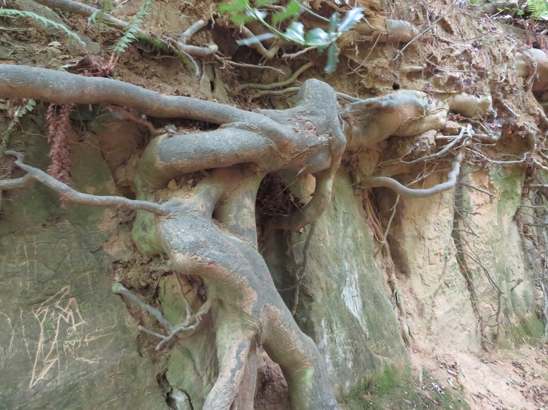Symondsbury Estate-Symondsbury必去景点
