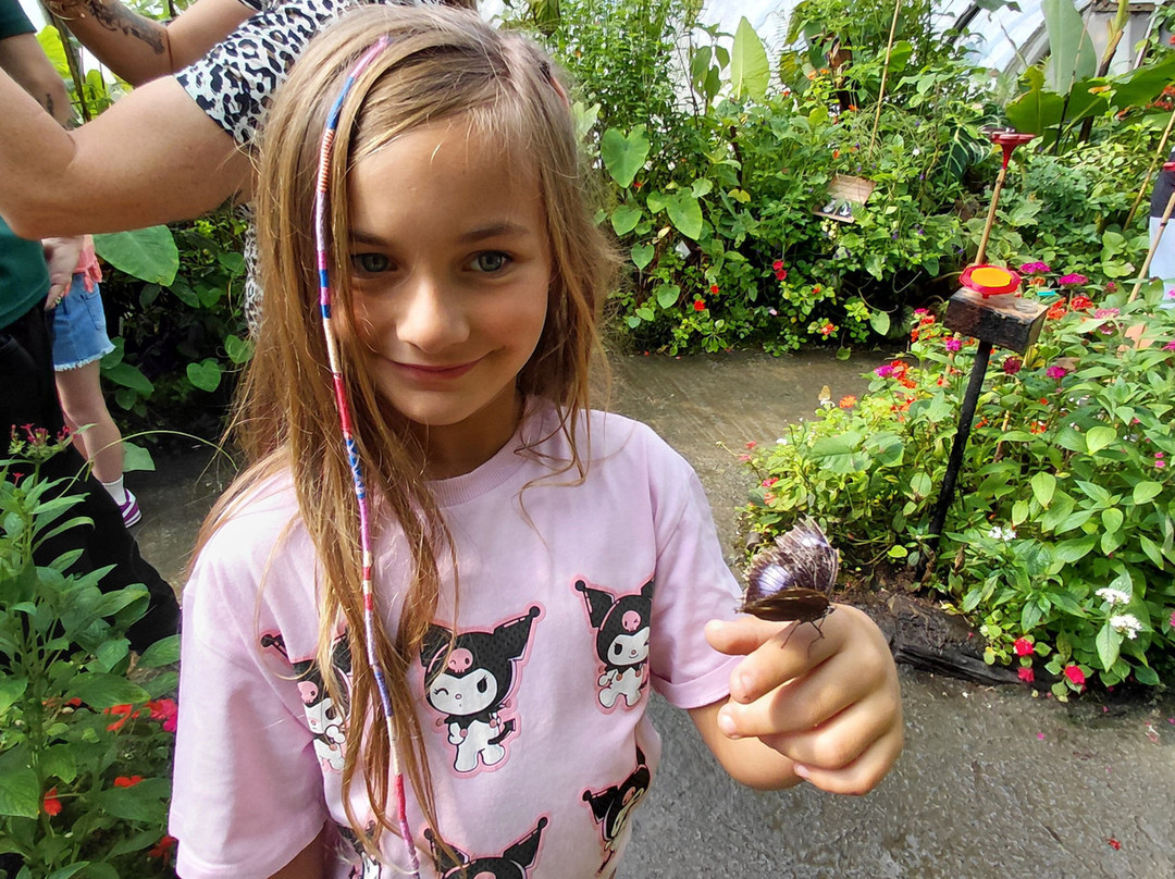 Magic of Life Butterfly House-Cwmbrwyno必去景点