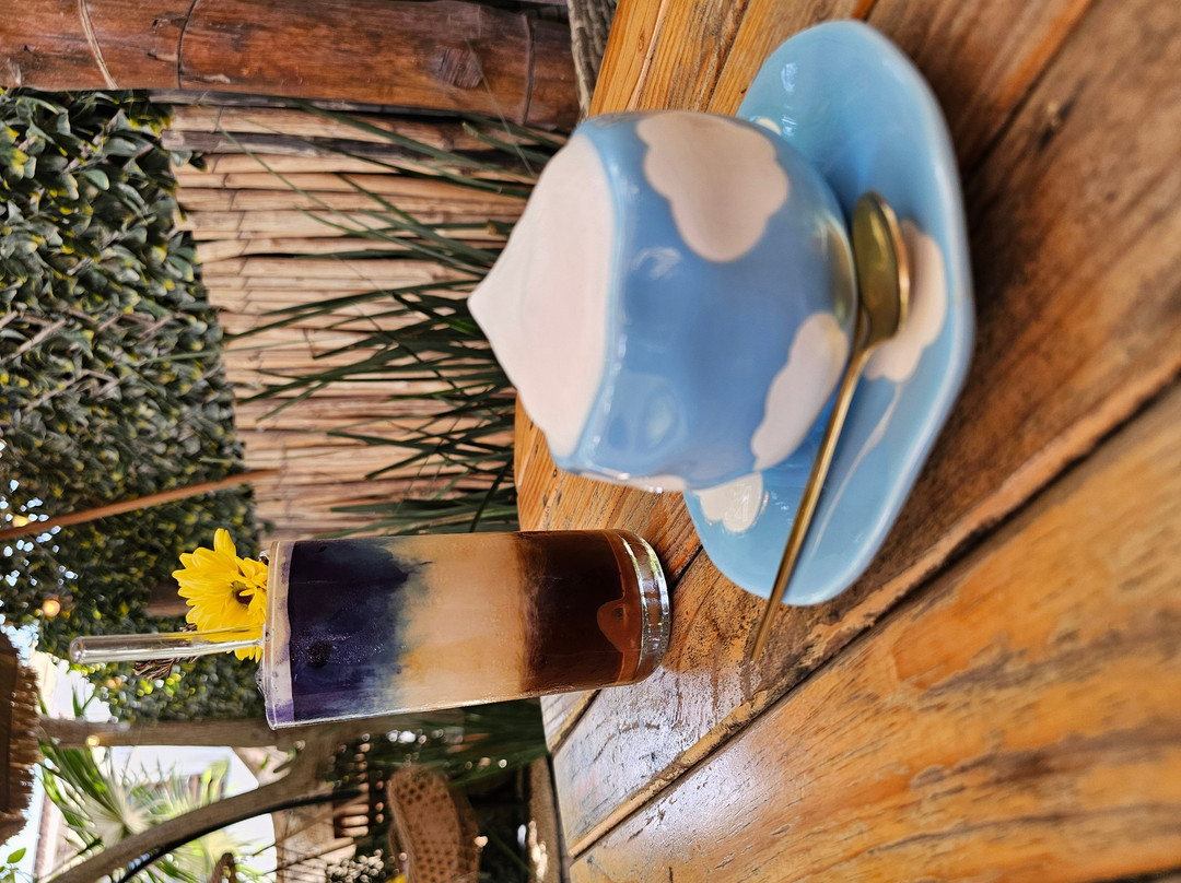 Zonnebloem Holbox Coffee