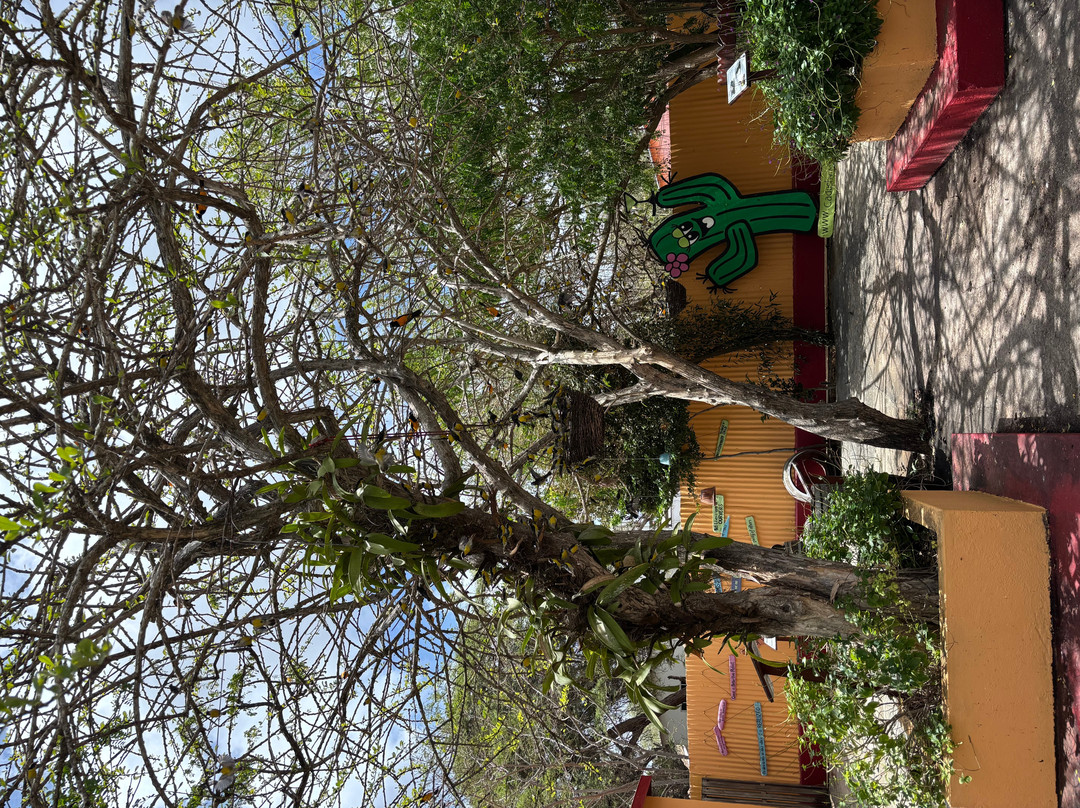 The Cadushy Distillery-Rincon必去景点