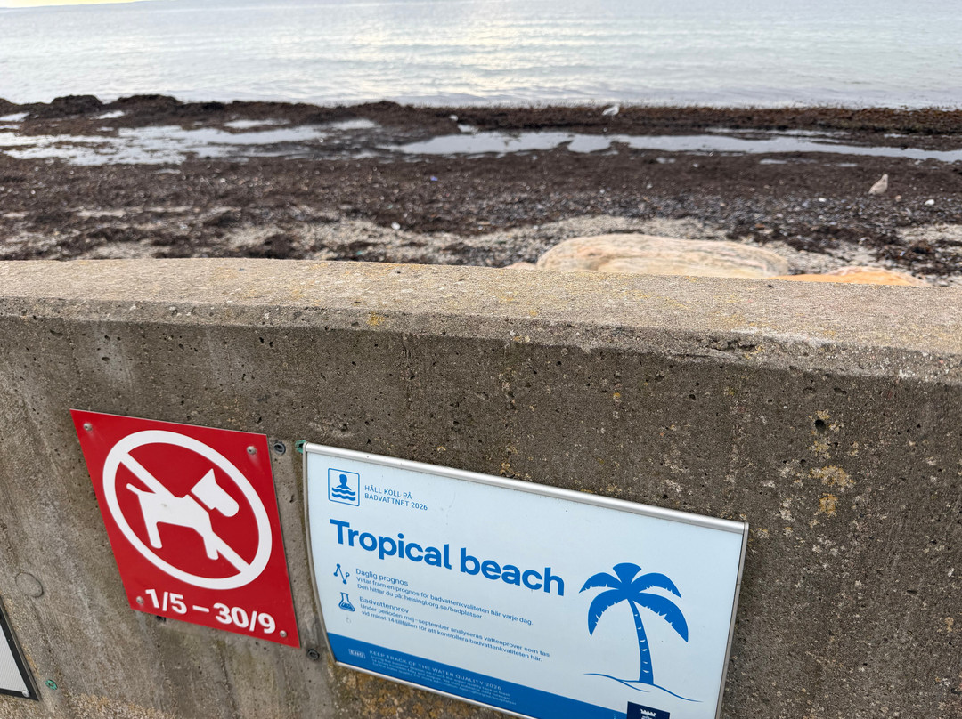 Tropical Beach-赫尔辛堡必去景点