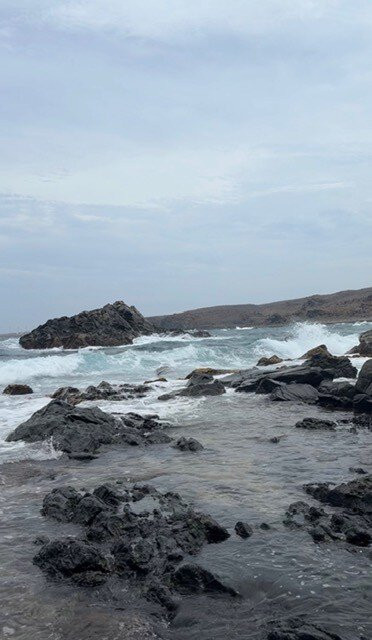 ABC Tours Aruba-奥腊涅斯塔德必去景点